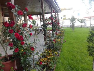 Todorovi Guest House - Stara Zagora - 1