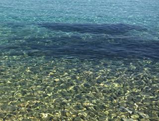APARTMENT ŽUŽI Otok Silba Hrvatska - Silba - 7