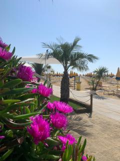 Hotel Nizza Frontemare Superior 3 Stelle - Lido di Jesolo - 7