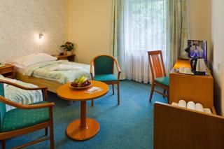 Hotel Panorama - Pilsen - 1