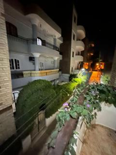 مصر الاقصر القرنة البعيرات الجزيرة - Al Karnak - 5