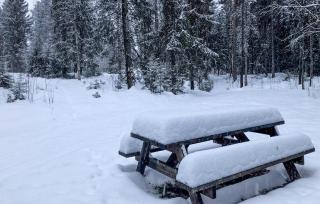 Stunning Home In Älvdalen With Sauna - 8