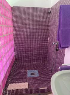 Jacaranda - Cadice - 1