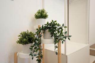 71m² modern apartment in the heart of the city - Vienne - 2