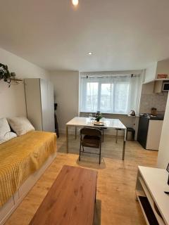 Studio La Petite Montagne - Quimper - 4