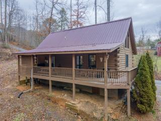 Cozy Cabin Retreat: Tiny Trotter - Bryson City - 9