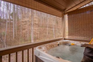 Cozy Cabin Retreat: Tiny Trotter - Bryson City - 0