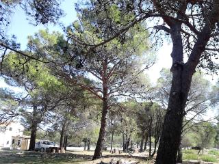 Eco Secluded apartments Zabodarski - Cunski - 0