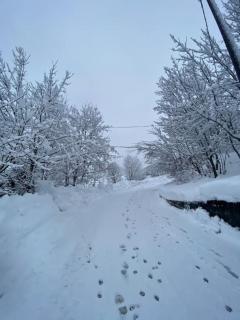 Little Canadian Lodge, Limone - Limone Piemonte - 3