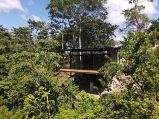 Modern House with Jungle Sunset View - Santiago - 2