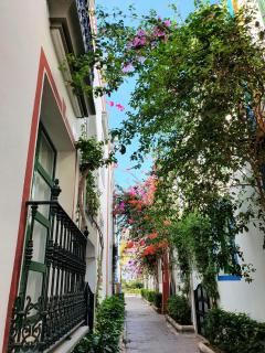 Billy's Puerto de Mogán Apartments by LIVVO - Puerto de Mogán - 4