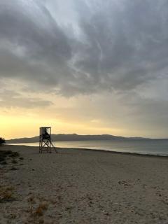 Sunny flat among olive trees, next to the beach - Módhion - 8