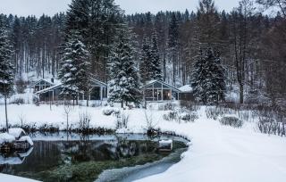 Cozy Home In Ruhla With Sauna - Ruhla - 2