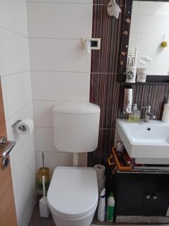 ROSE ROOM 40m2 with terrace 25m2 , outdoor cooking in greeny area for 4 person - Ljubljana - 9