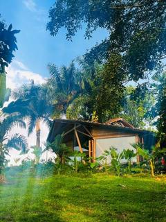 BooHouse - A Wild Cabin in Colombia - Caicedonia - 2