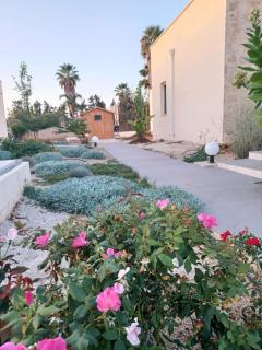 Zeituna Lodge a Porto Cesareo - Torre Lapillo - 4