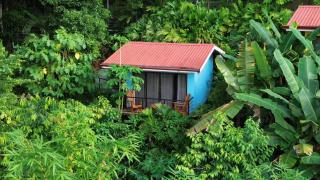 Villas In Sueño Private Jungle Hotel - Manuel Antonio - 9