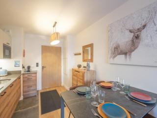 Charmant appartement au cœur de l'Alpe d'Huez, proche pistes, 2-4 pers, parking, WIFI inclus - FR-1-645-63 - Huez - 4