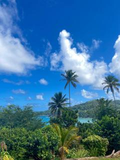 Happy Nest Dominica - Marigot - 2