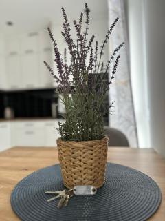 Premium Apartment - Lavender - SELF CHECK-IN - Parking - 3