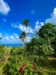 Happy-Nest (First floor) - Marigot - 7