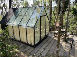 Wetlands Wayanad Pool Resort with Natural Waterfalls - Padinjarathara - 5