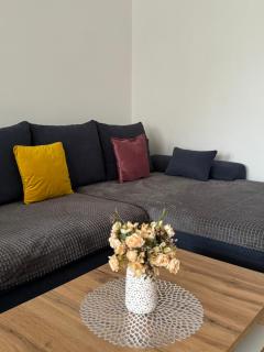 Apartments Antica near the Queen Beach in Nin - By TA Leut Agency - Nin - 6