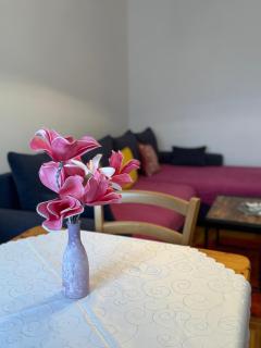 Apartments Antica near the Queen Beach in Nin - By TA Leut Agency - Nin - 8