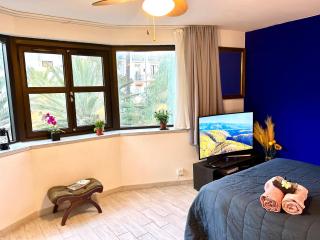 SuperbeStudio in Nice - 450m of the sea- garden view - 8