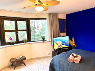 SuperbeStudio in Nice - 450m of the sea- garden view - 6