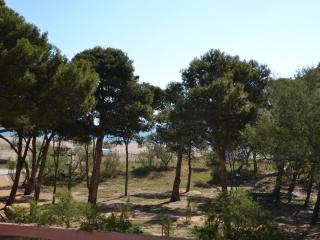 Pineda Beach 19, L'Estartit - Centro - ES-323-60 - L'Estartit - 7