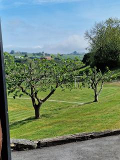 Apartamentos Viñas - Santillana del Mar - 7