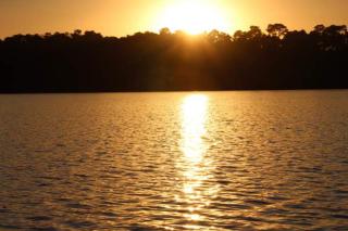 BISCADODO, joignable au zéro6trente53cinquante60 - Biscarrosse - 2