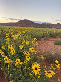Modern luxury with starry skies and red-rock vistas - Kanab - 7
