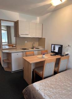 Apartman Masa Kopaonik - Kopaonik - 1