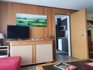 Elfe - Apartments Three-bedroom Apartment for 6 guests with patio - Emmetten - 7