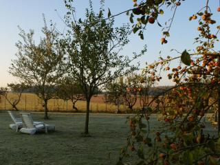 Gîte cosy et rénové à Boissets avec jardin clos, WiFi, proche randonnées et sites touristiques. - FR-1-527-46 - 8