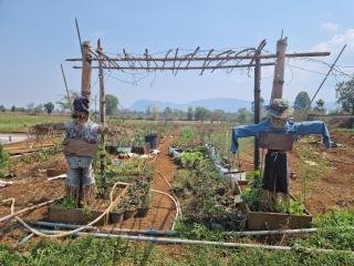 Shared Happy Farm - 6