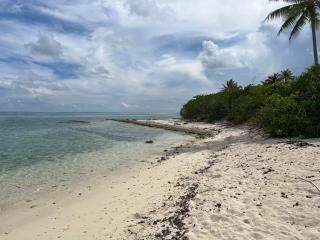Parea Lodge Huahine BUNGALOW F2 #Miti - Parea - 1