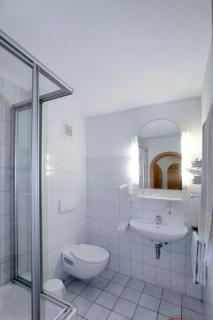 Landgasthaus Hotel Maien - Rheinfelden - 2