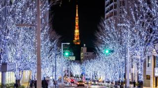 Arche de Reve - Tokyo - 8
