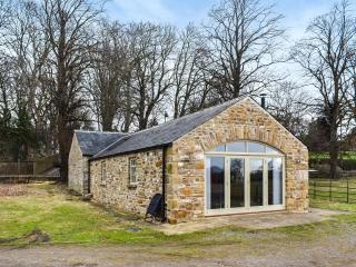 Southview Barn - Barnard Castle - 7