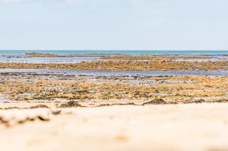 La Maison Bleue - 300m de la mer - 5