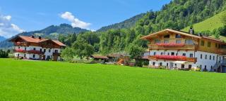 BIO- Bauernhof Obermaurach - Walchsee - 9