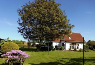 Bungalow und Ferienwohnung auf Rügen - Kluis - 3