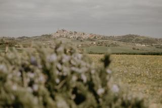 Belcasale - Vignale Monferrato - 5