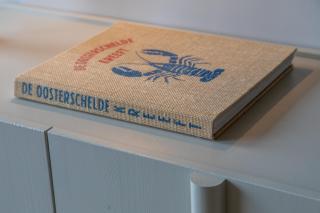 Welcome in - Appartementen Kurhaus - Nieuwstraat 1 Zoutelande, nabij strand, terras, sauna - Zoutelande - 5