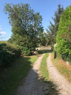 Little Well, stunning setting - 2 acres, dogs welcome - 4