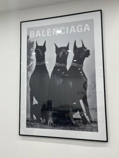 Appartement balenciaga - Échirolles - 8