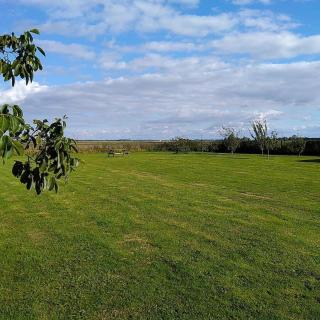 2 bedroom Holiday home in Norfolk private field - Wisbech - 9
